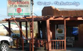 The Buckhorn Cafe