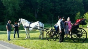 Mother's Day at Taltree Carriage Rides at Gabis