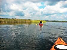 Kayaking Tomoka River Basin 