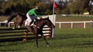 Video Thumbnail - youtube - Morven Park Races Steeplechase, Leesburg, VA Loudoun