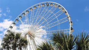 A Myrtle Beach vacation is bound to surprise you