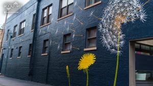 Downtown Rockford mural
