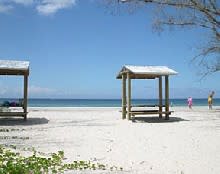 Stump Pass Beach State Park has full facilities, a hiking trail and plenty of wildlife