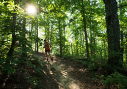 Raccoon Mountain Marathon