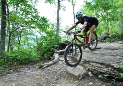 Raccoon Mountain