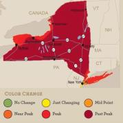 foliagemapnew102313.jpg