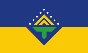Topeka Flag B