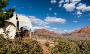 dog friendly lodging st george utah