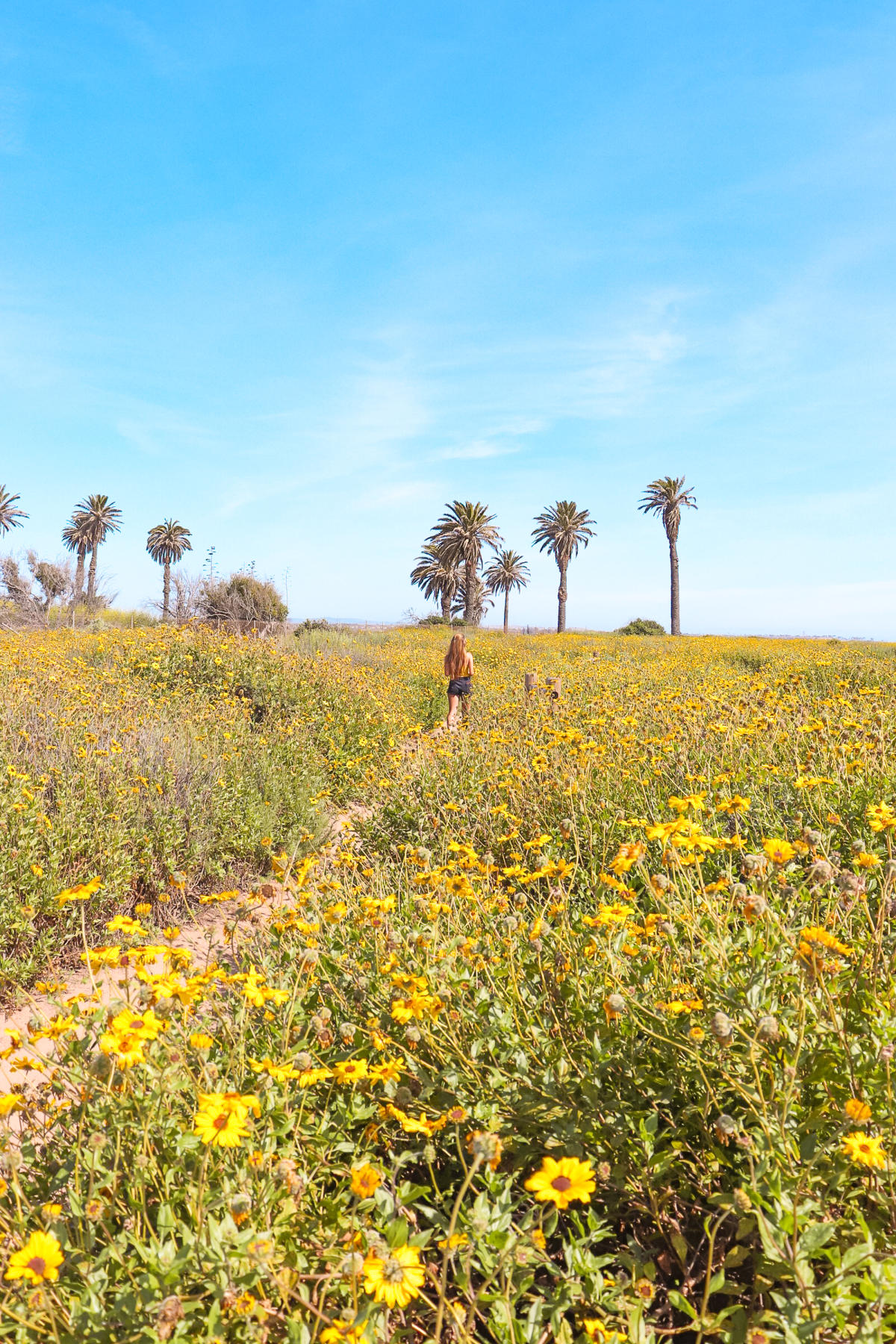 Bolsa Chica Ecological Reserve