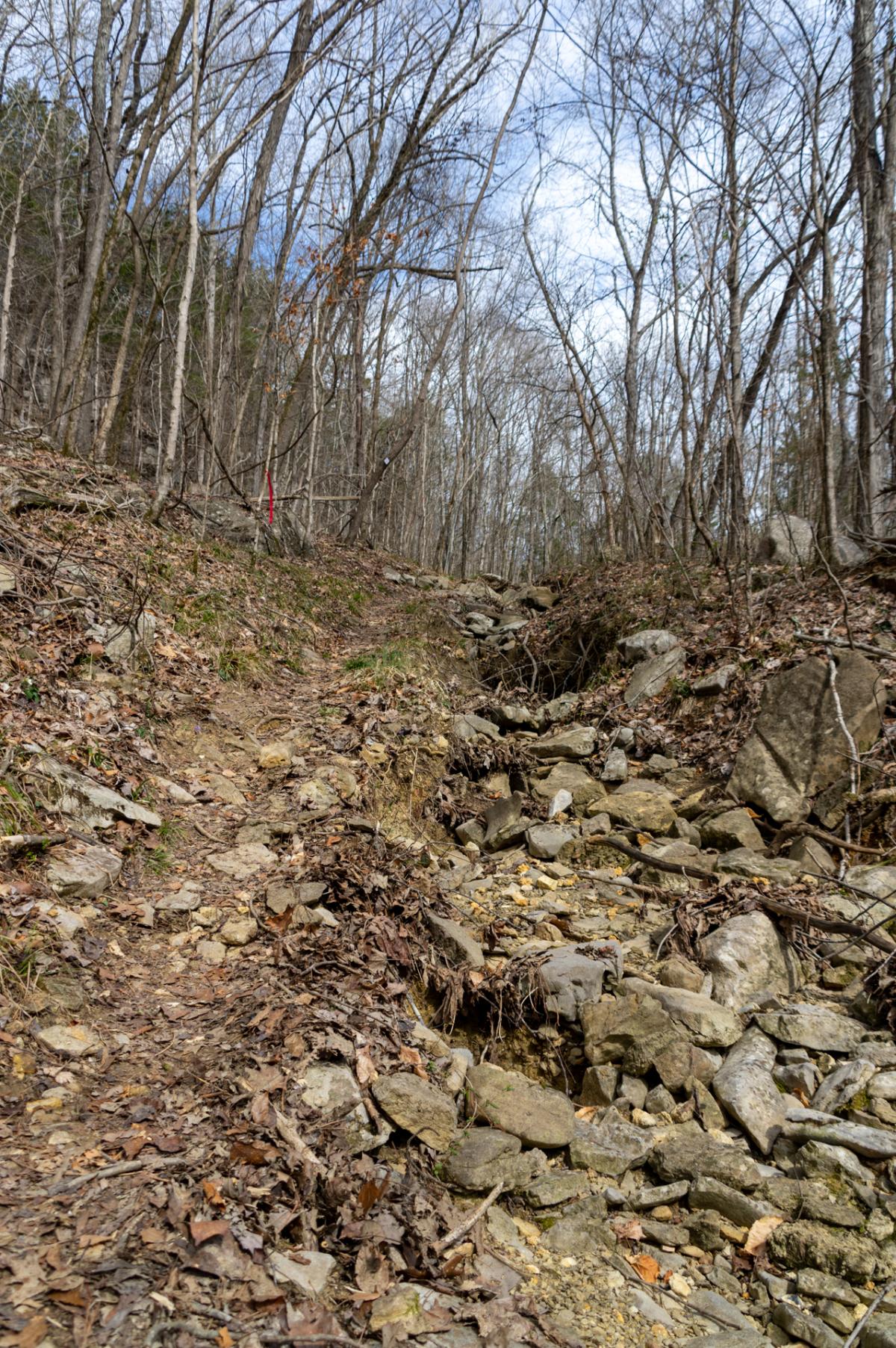 Bethel Spring Nature Preserve