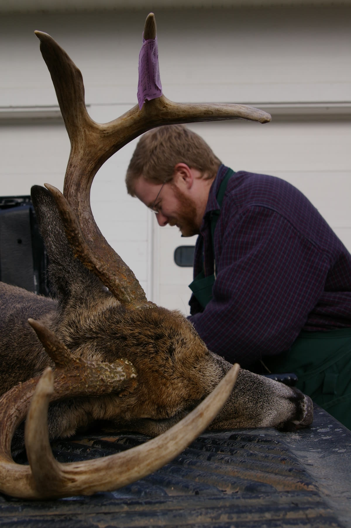 Deer Hunting in Michigan's Great Lakes Bay