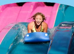 Image Courtesy of Adventure Island Image Courtesy of Adventure Island