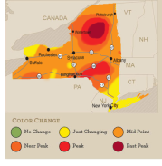 foliagemapnew100213.png