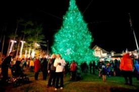 Christmas tree in Maine at night