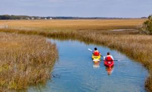 Kayaking the Golden Isles