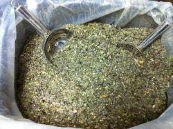 Light of Day Organic Tea