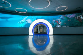 After cruise guest complete their check-in, they experience the newly installed light tunnel and interactive video screen.