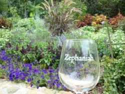 Zephaniah Farm Vineyard - Loudoun County, VA
