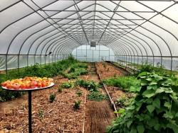 Light of Day Organics Hoop House