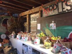 Apples at Hilger's Family Farm