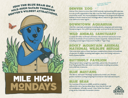Mile High Mondays_Safari