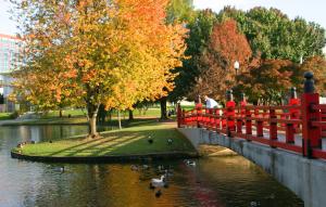 This is a picture of the pond and the bridge in Big Spring Park during the fall season.