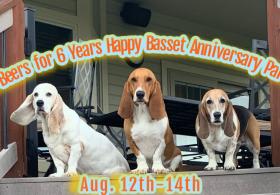 6 Beers for 6 Years!!! Happy Basset's Anniversary Party