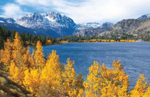 Sightseeing: June Lake Fall