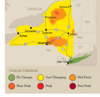 foliage_map_microsite-week-3.png