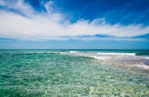 Top 10 Reasons For An Englewood Beach Neener Vacation Top 10 Reasons For An Englewood Beach Neener Vacation