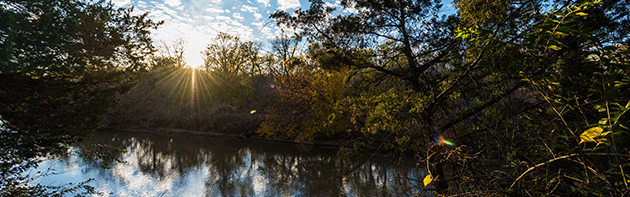 River and greenery in Stinchcomb Wildlife Refuge at sunset