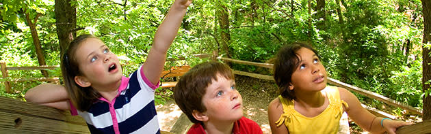 Children enjoying Martin Nature Park