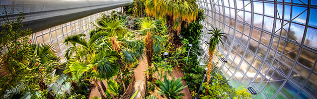 Interior of Crystal Bridge at Myriad Botanical Gardens