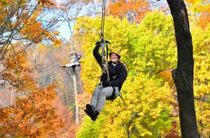 Seven Springs Canopy Tour