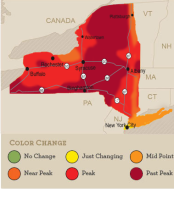 foliagemap_microsite_101712.png