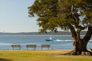 Neptune Park