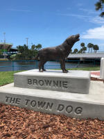 Brownie the Town Dog