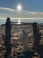Lake Michigan log structure
