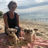 Phoebe & Bebe
