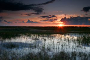 Sunset Quivira