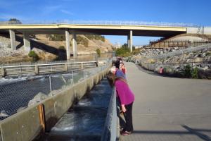 Nimbus Fish Hatchery