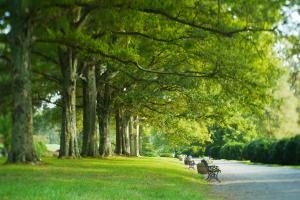 Morven Park