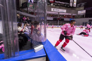 IceHogs skating