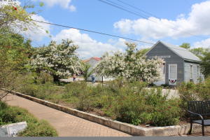 Conservation Plaza