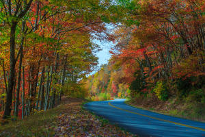 Fall in Asheville