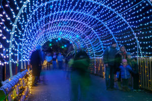 Walk Through A Winter Wonderland at the Lehigh Valley Zoo