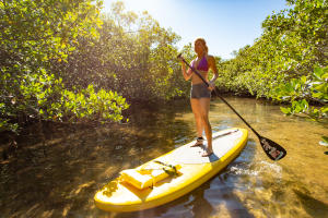 Woman on Stand Up Paddleboard at Don Pedro Island State Park