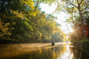 Yellow Breeches Creek