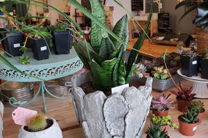 Boutique Shopping in Wells County