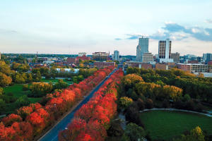 Fall leaves line Clinton Street in Allen County